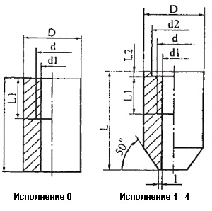Бобышка типа БП1 на Ру<=20Мпа (200кгс/см2)